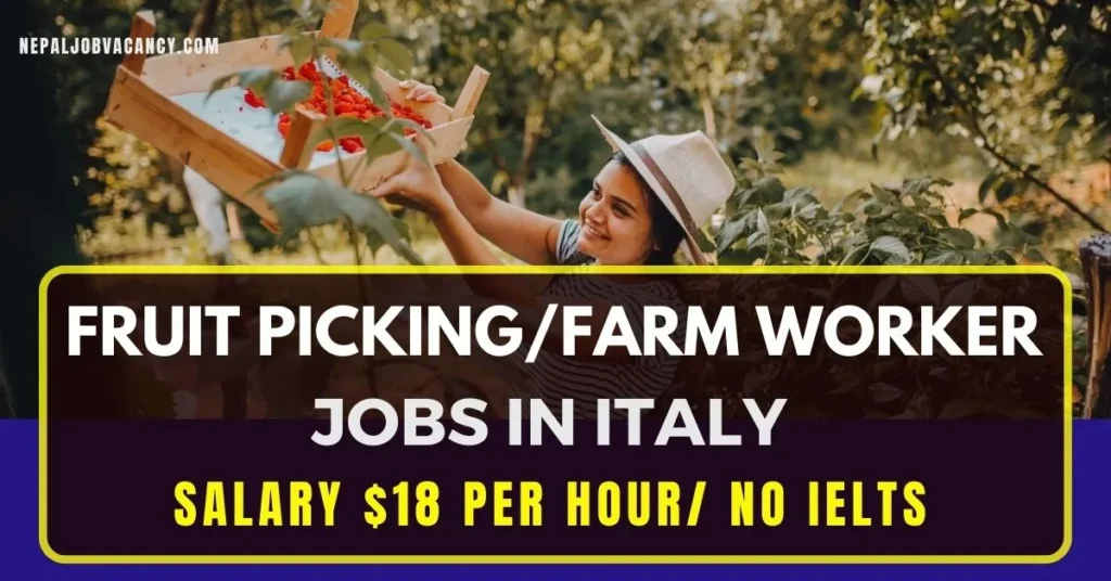 Farm Worker/Fruit Picking Jobs in Italy 2024 Check Salary