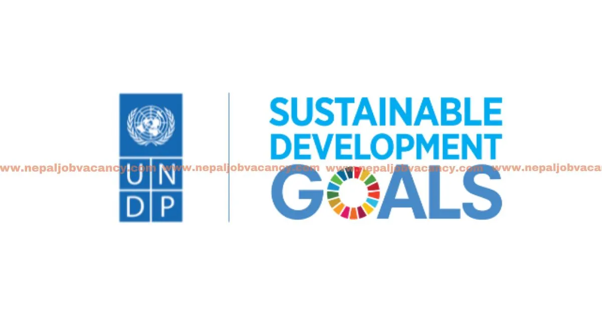 2023 UNDP Management Jobs You Should Consider Applying for