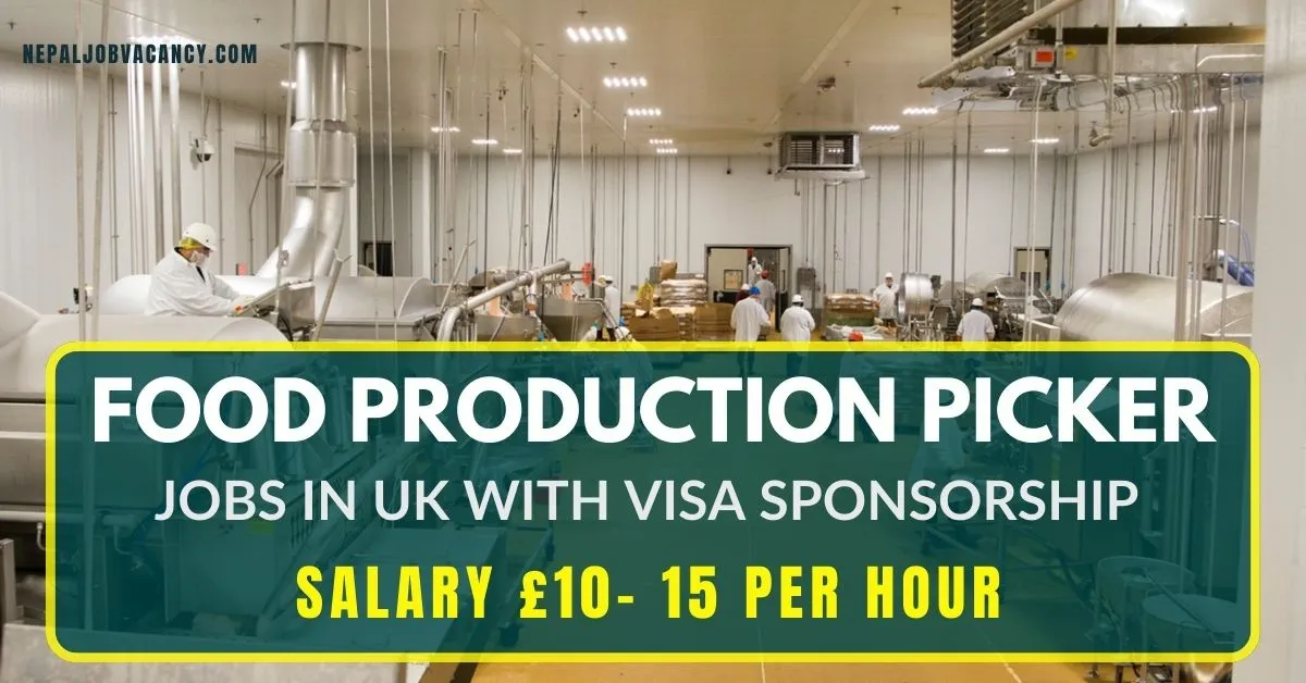 Food Production Picker Jobs in UK with Visa Sponsorship 2024-25 (Salary £10- 15 per hour)