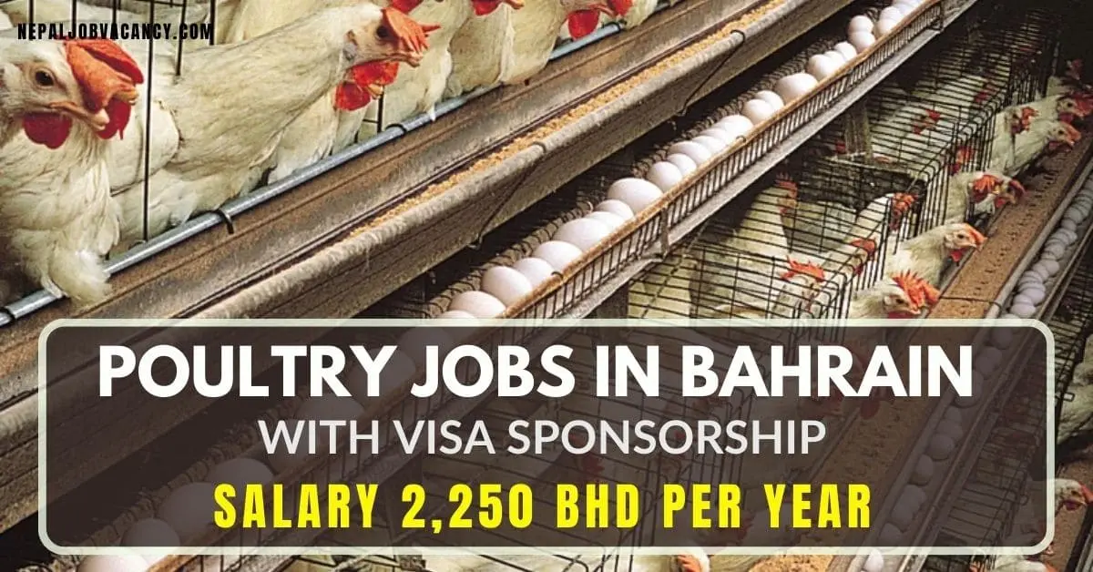 Poultry Jobs in Bahrain with Visa Sponsorship 2024